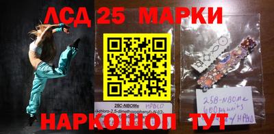 гидра Моздок
