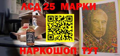 гидра Моздок