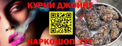 гидра Моздок