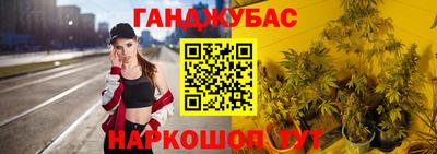 гидра Моздок