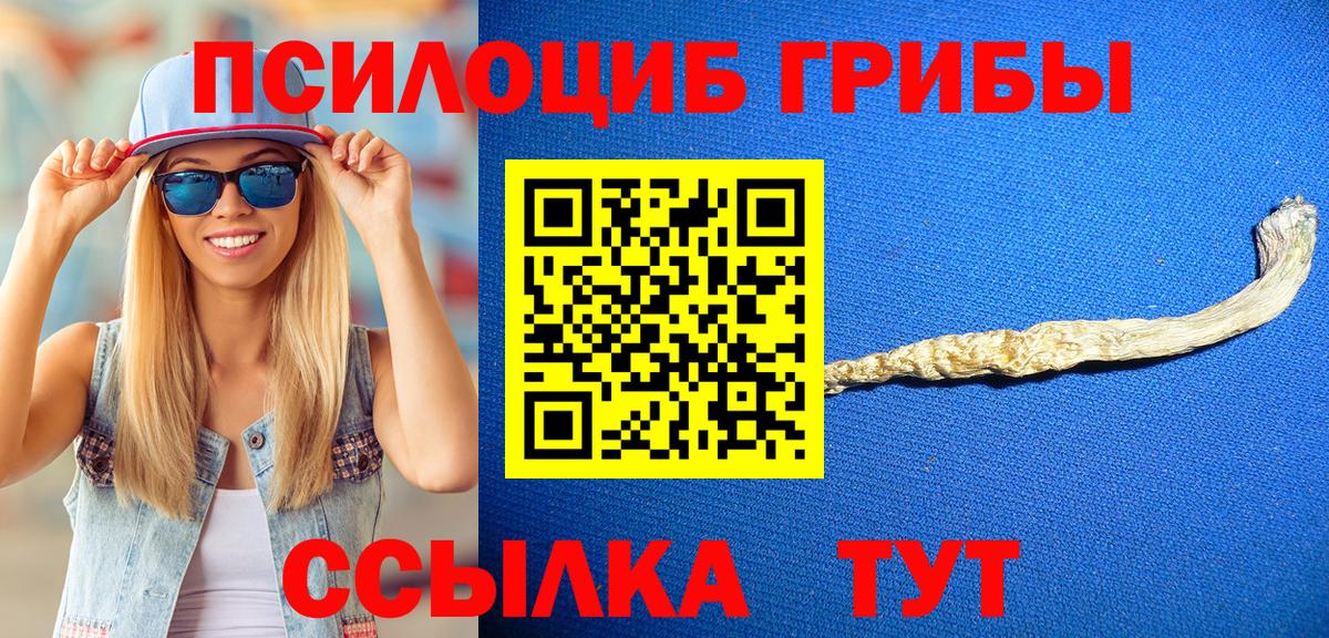 Псилоцибиновые грибы Psilocybe  Вход с VPN  где продают   Гурьевск 
