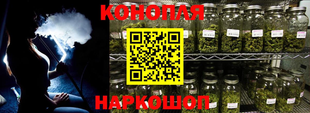Бошки Шишки планчик Гурьевск